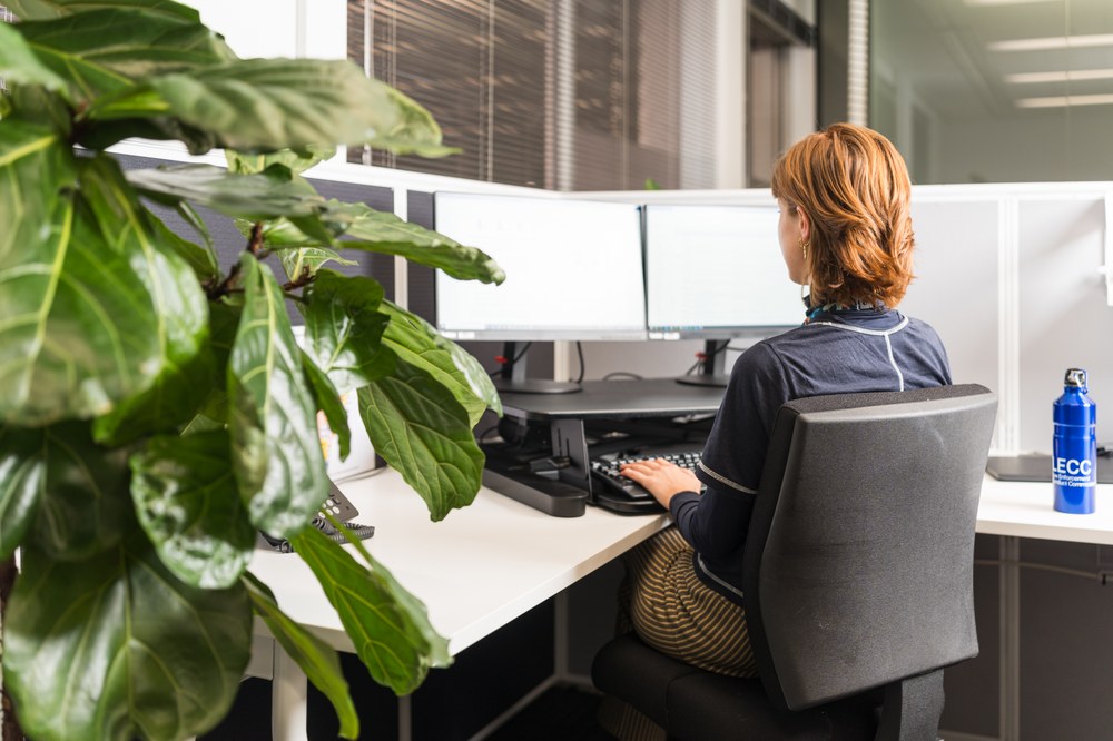 Photo of LECC staff member working at desk